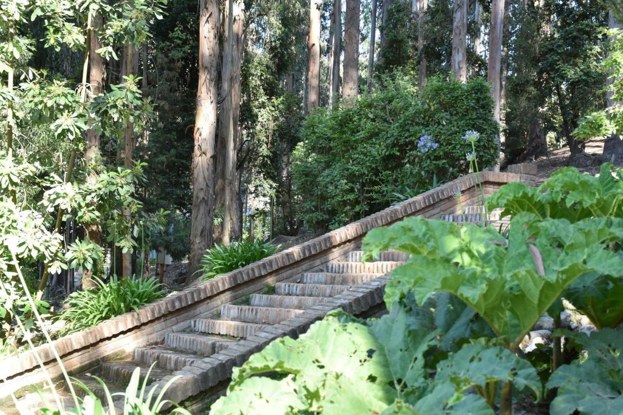 Bosque De Reñaca Viña del Mar