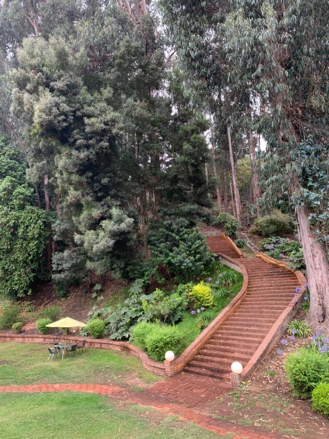 Hotel Bosque De Renaca 4*
