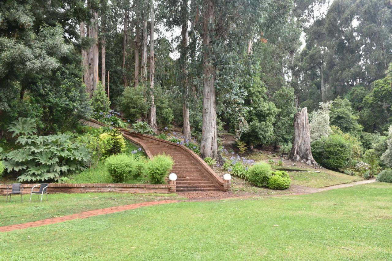 Hotel Bosque De Renaca 4*