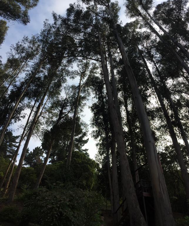 Bosque De Renaca Hotel 4*