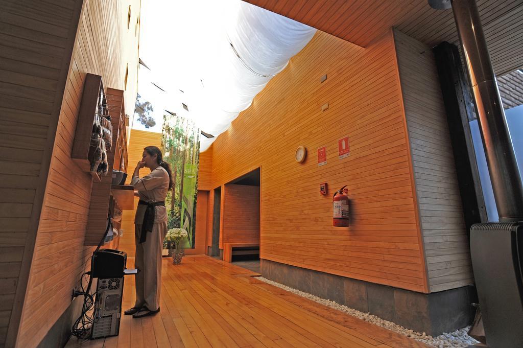 Bosque De Renaca
