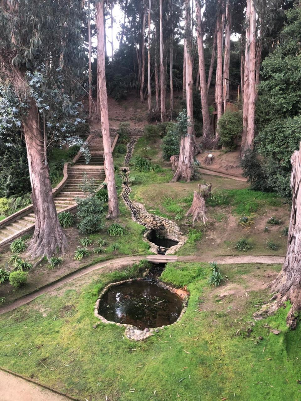 Bosque De Renaca 4* Vina del Mar